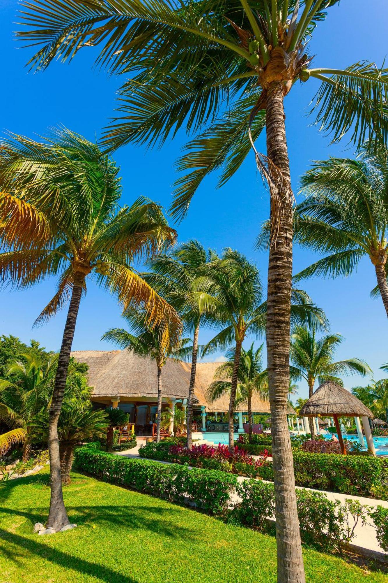 Trs Yucatan Hotel - Adults Only Akumal Kültér fotó